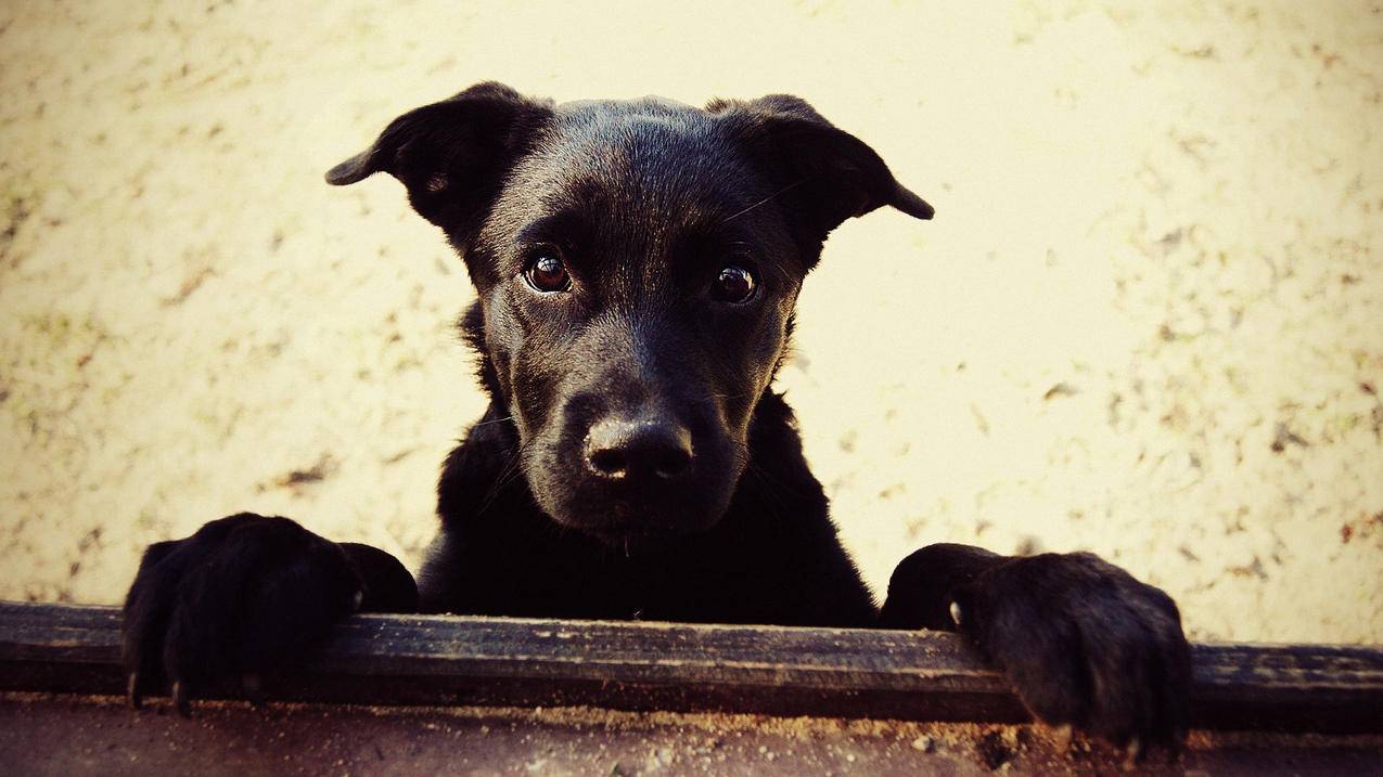 香港appleid密码被别人知道_登录别人的appleid被锁了 - 香港苹果ID - 55dz账号网