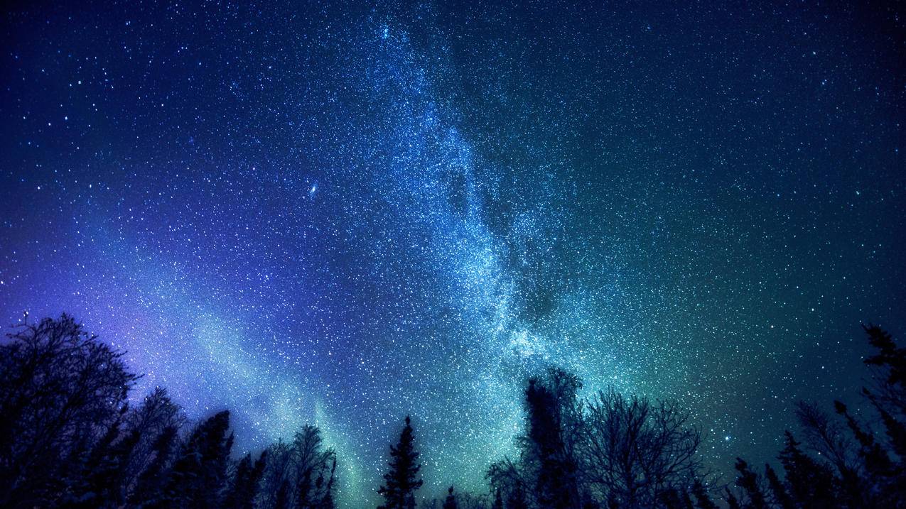 谷歌浏览器如何下载网页中的视频  ( 谷歌手机浏览器怎么下载视频? ) - 55dz账号网