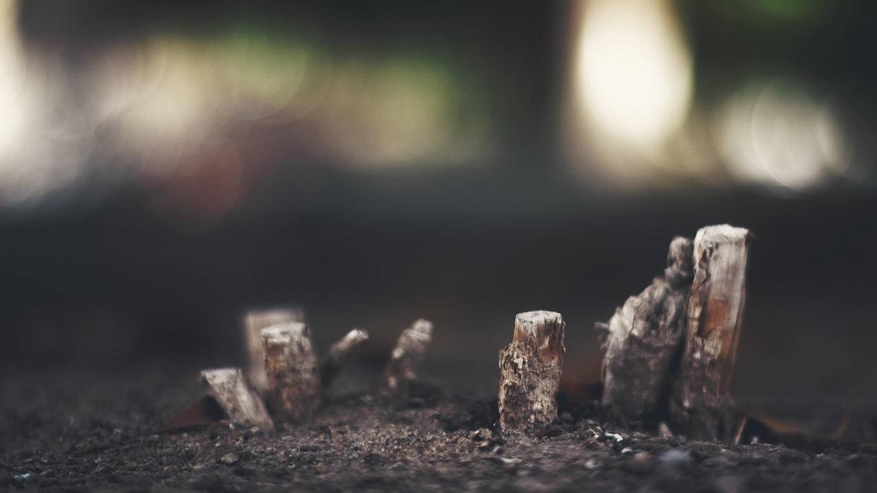 为什么Google app engine在绑定域名时出现“我们的系统检测到您的计算机网络中存在异常流量”?  ( 谷歌账号存在异常活动怎么解决 ) - 55dz账号网