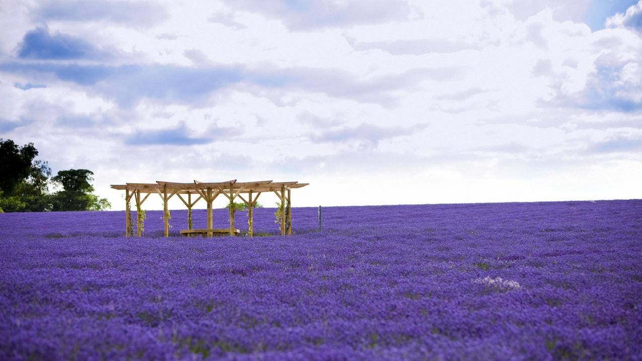 苹果手机恢复出厂设置后id密码忘了怎么办 ， 苹果手机id密码忘了怎么恢复出厂设置  - 55dz账号网