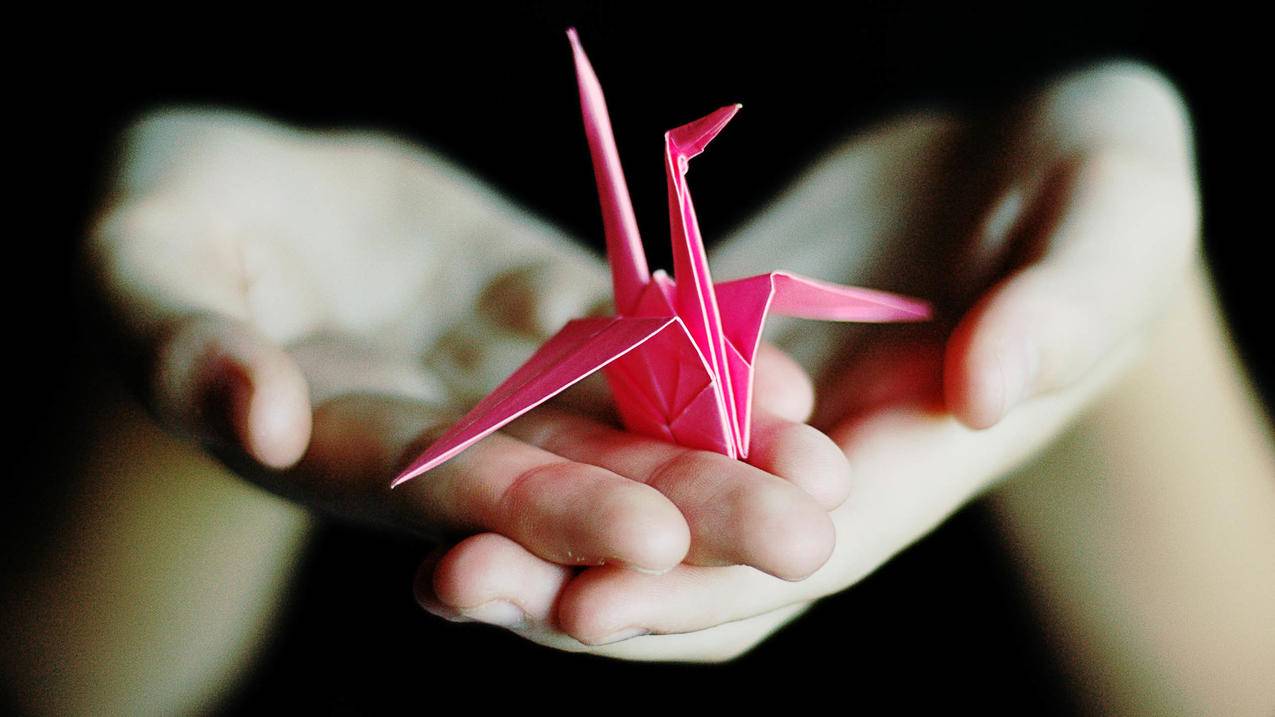 飞机app下载中文版安卓加速器_飞机加速器下载最新版 - gmail相关 - 55dz账号网