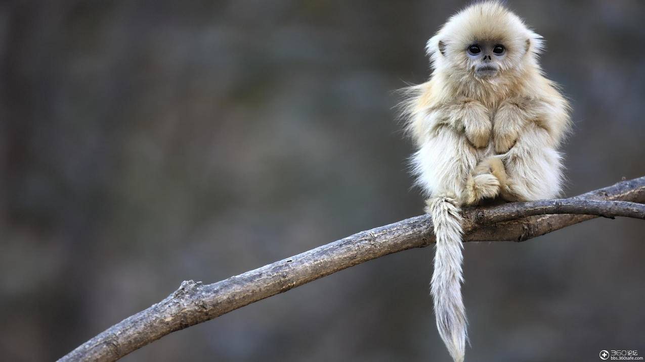 退出越南苹果id手机联系人全没了怎么找回（退出越南苹果id手机联系人全没了怎么找回） - 各区苹果ID - 55dz账号网