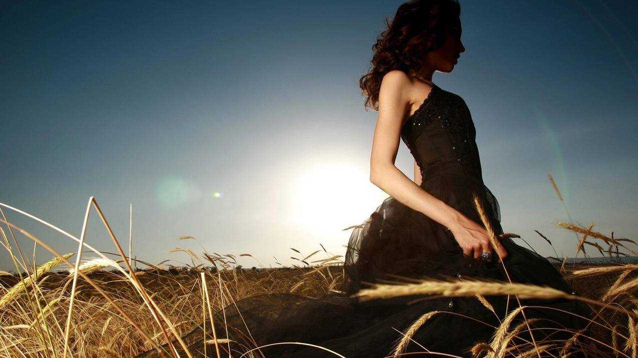 推特怎么回复不转发_推特怎么只回复而不转发 - tw相关 - 55dz账号网