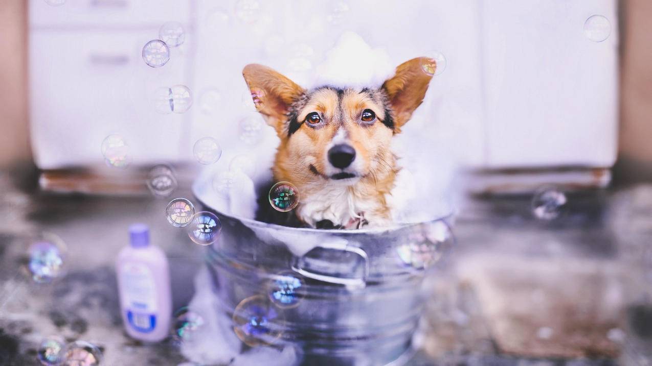 加速器一个节点是几个ip_什么加速器节点多 - 注册外服方法 - 55dz账号网