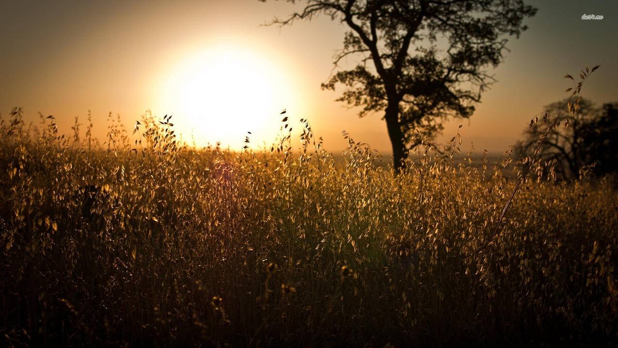 韩国苹果id收不到邮件验证码怎么办_韩国苹果id收不到邮件验证码怎么办 - 韩国苹果id - 55dz账号网