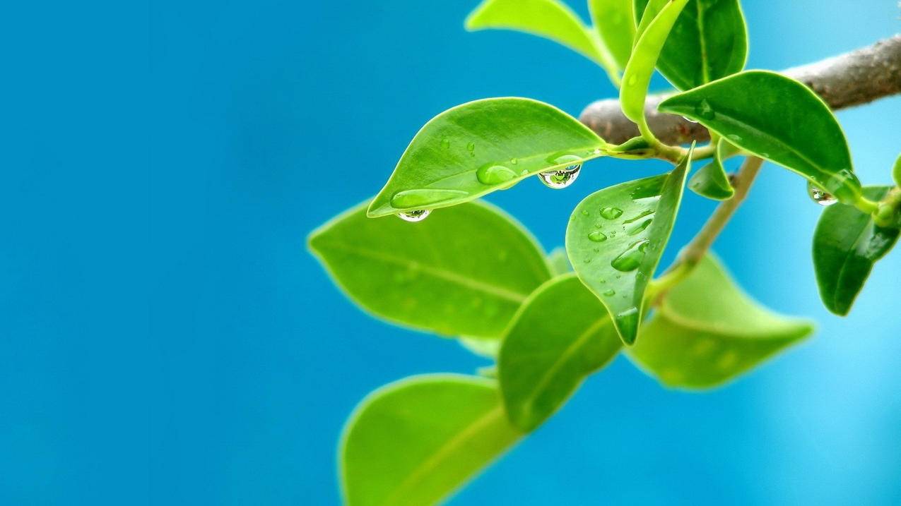 ins关注显示已请求再取消_ins关注显示已请求再取消怎么回事 - INS相关 - 55dz账号网