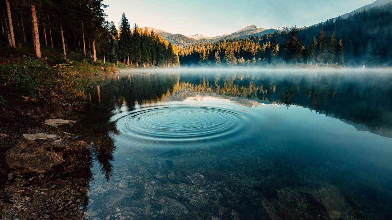 抖音刷赞平台全网+最低价啊QQ - 三元1000快手粉丝,qq刷赞免费版平台网址,qq刷赞免费领取50说说赞