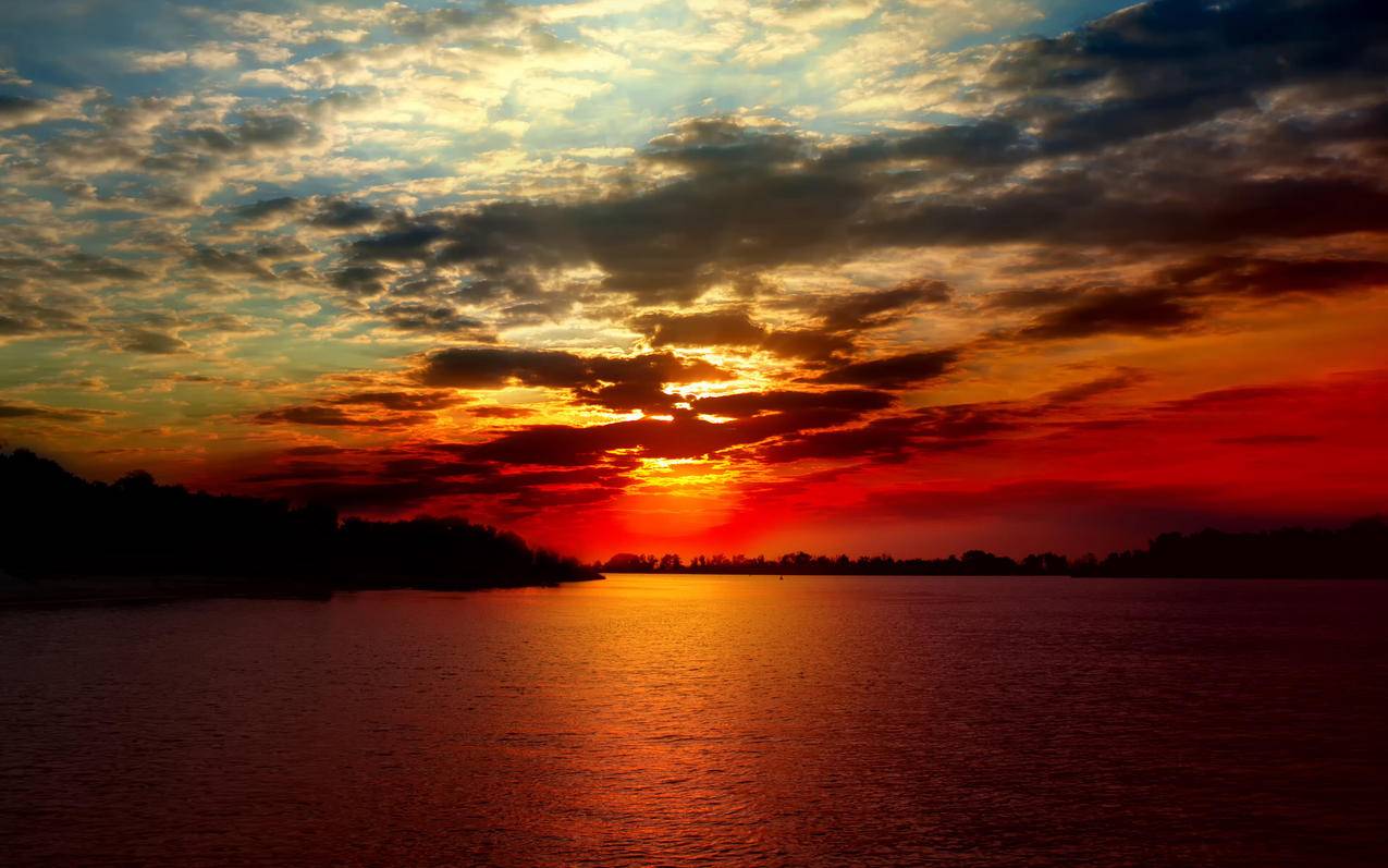 遇到问题？教你如何快速联系TikTok客服-苹果id平台