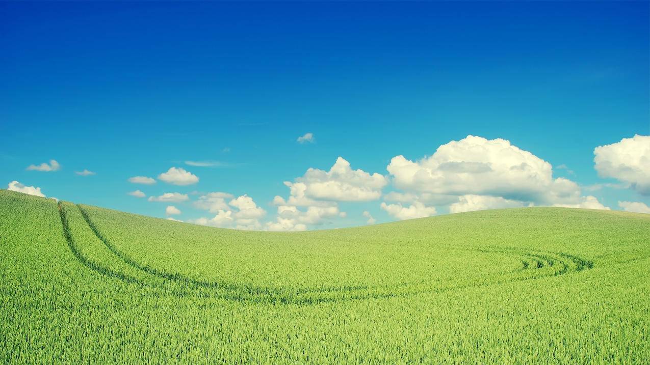 drawaline是什么意思中文_drawabird是什么意思中文 - Line相关 - 55dz账号网