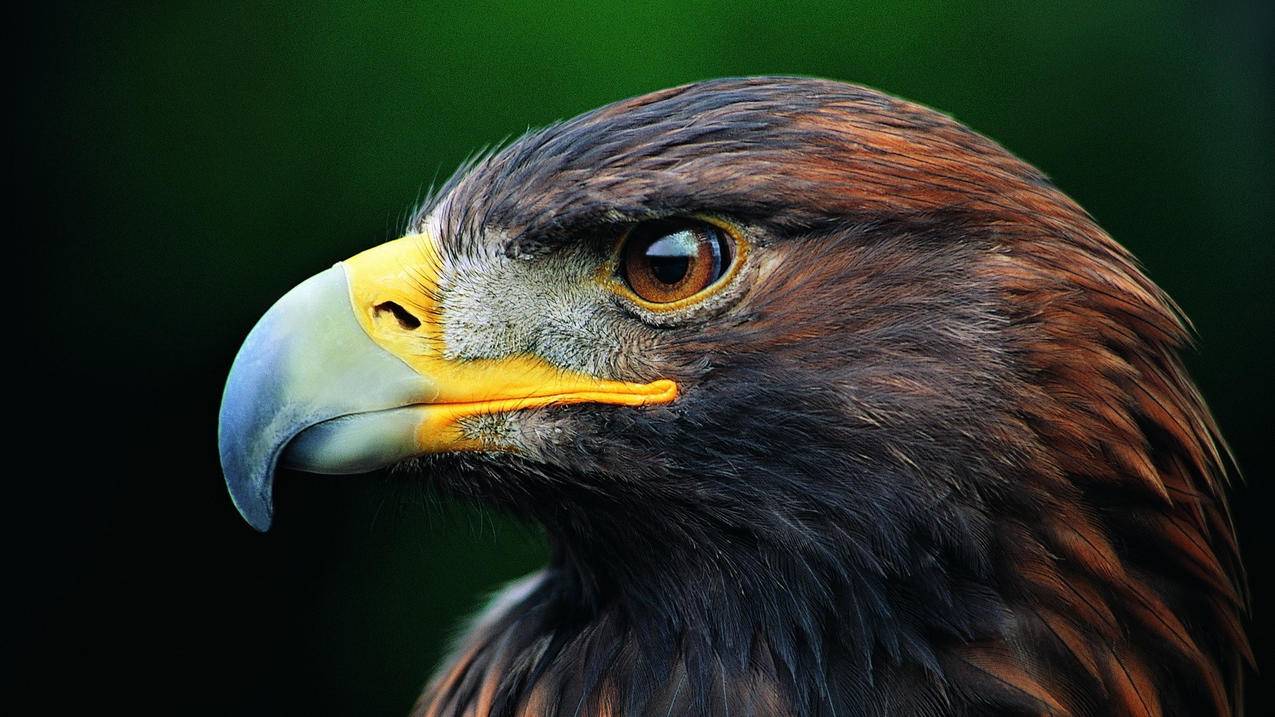 更换日本appleid电话号码无效_注册日本苹果id电话怎么填 - 日本苹果ID - 55dz账号网