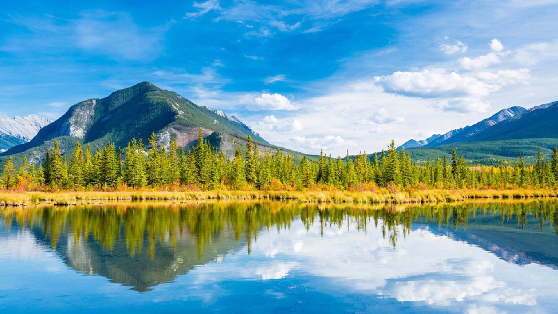 tiktok去水印破解版_tiktok无水印破解版下载 - tiktok相关 - 55dz账号网