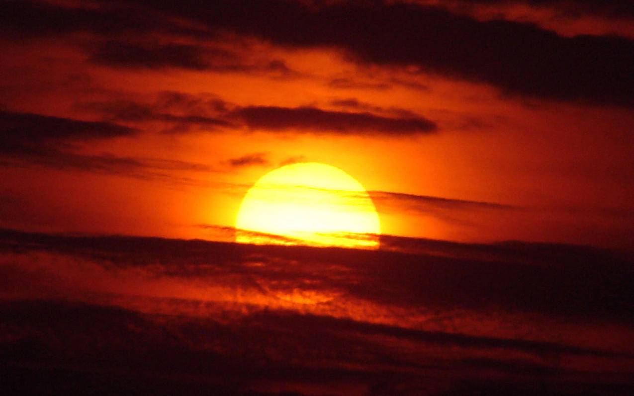 苹果手机退不出id号登录是怎么回事 ， 为什么我的apple id退出不了?  - 55dz账号网