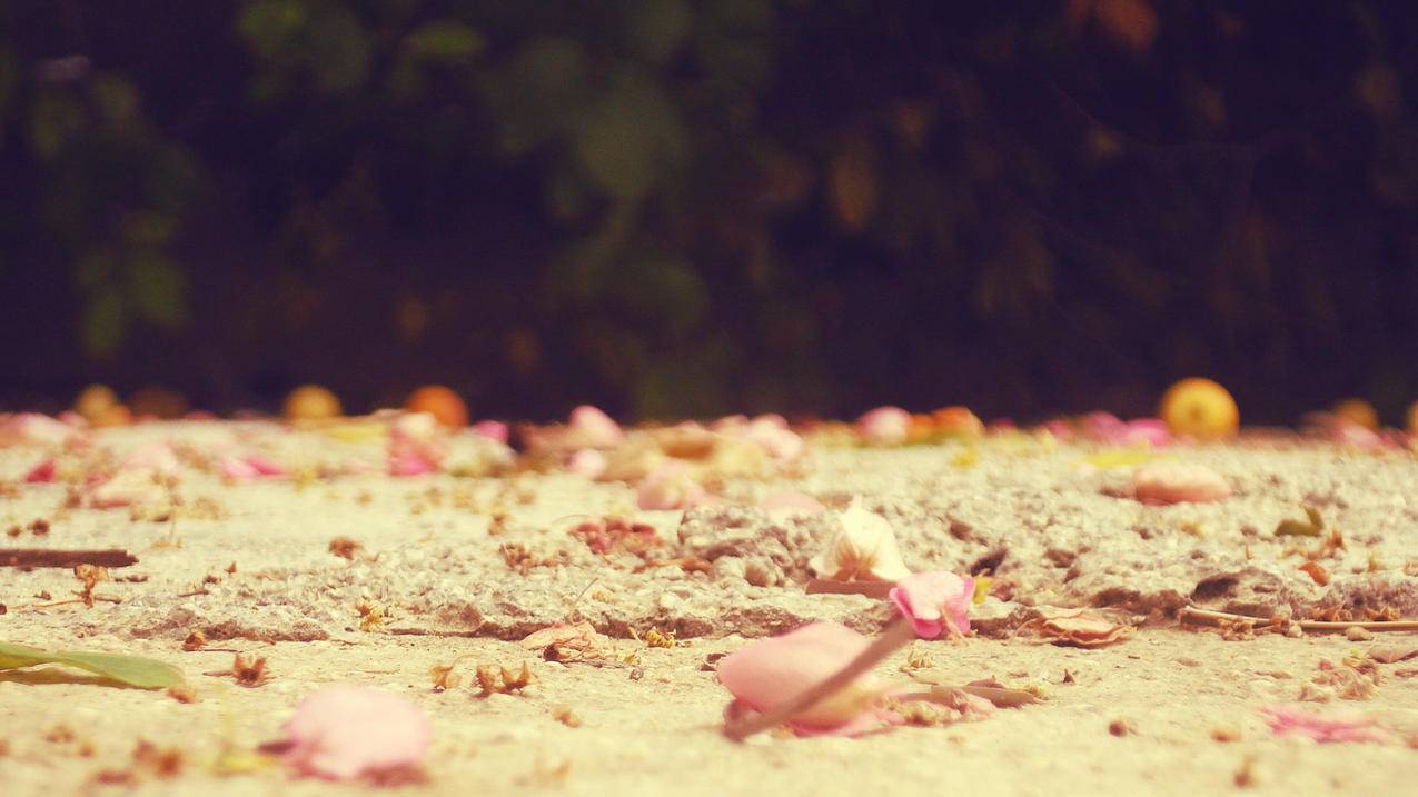 抖音什么方式获得曝光-dy业务网