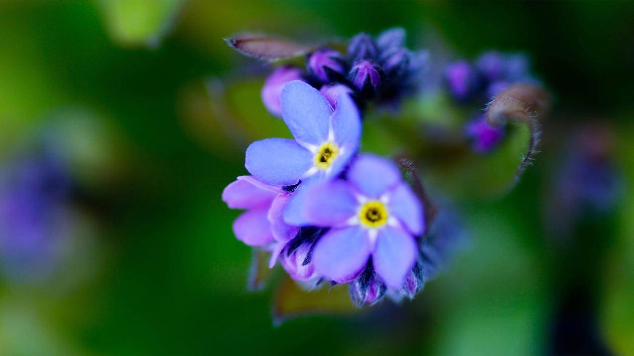 Fifaonline4门将冷静_FIFA4门将 - Line相关 - 55dz账号网