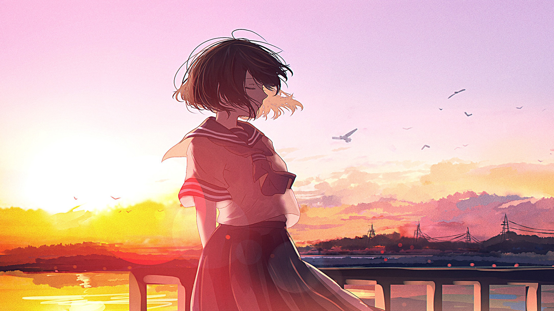 安卓手机如何注册苹果ID? ， 如何注册苹果ID。本人安卓手机。  - 55dz账号网