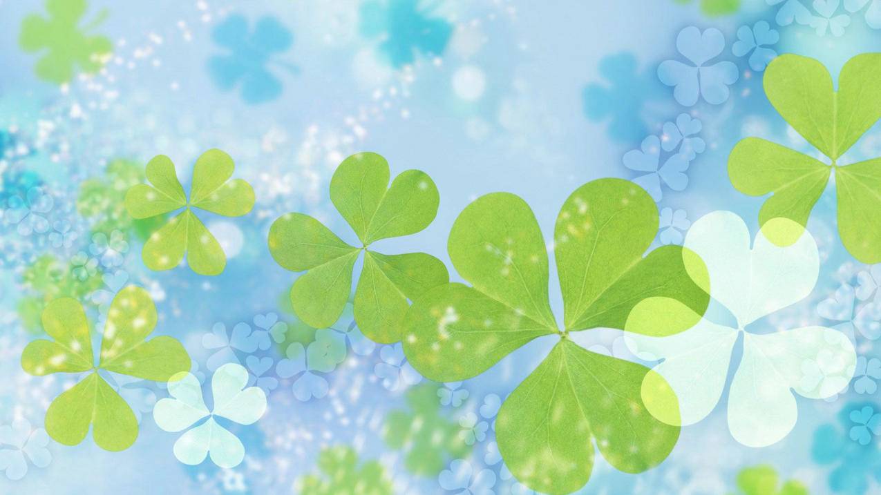 tiktok怎么申诉_tiktok邮箱申诉入口 - 苹果APP下载 - 55dz账号网