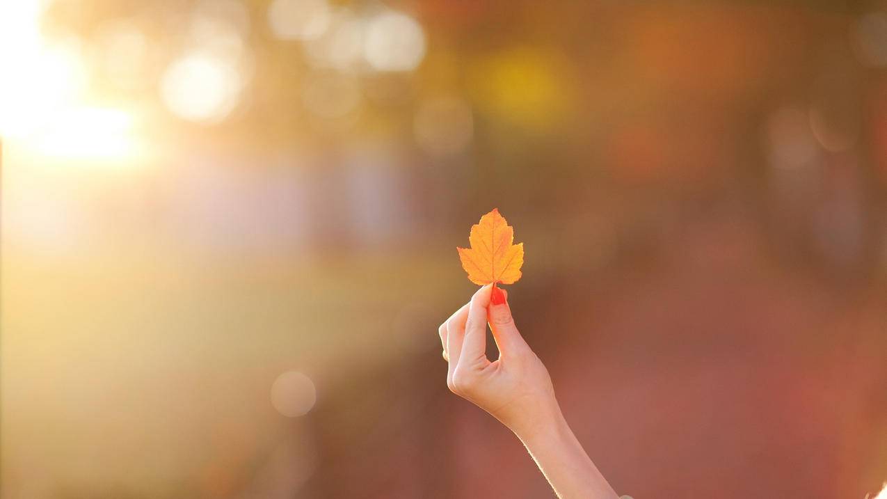 抖音免费领浏览-qq空间人气互刷软件手机版,孤城卡盟官网,经纬卡盟官网