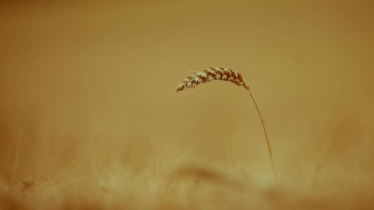 怎么看香港苹果id欠费多少_怎么看香港苹果id欠费多少钱 - 香港苹果ID - 55dz账号网