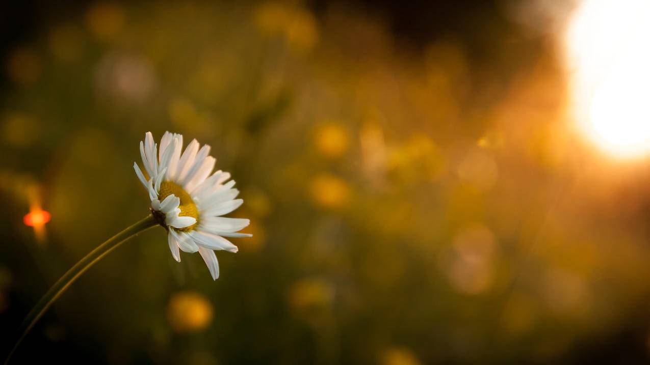 我的苹果手机和别人的苹果手机通讯录合并了,该怎么分开,求解,急死了 ， 怎么样把同用一个ID得俩个苹果手机得通讯录分开?  - 55dz账号网