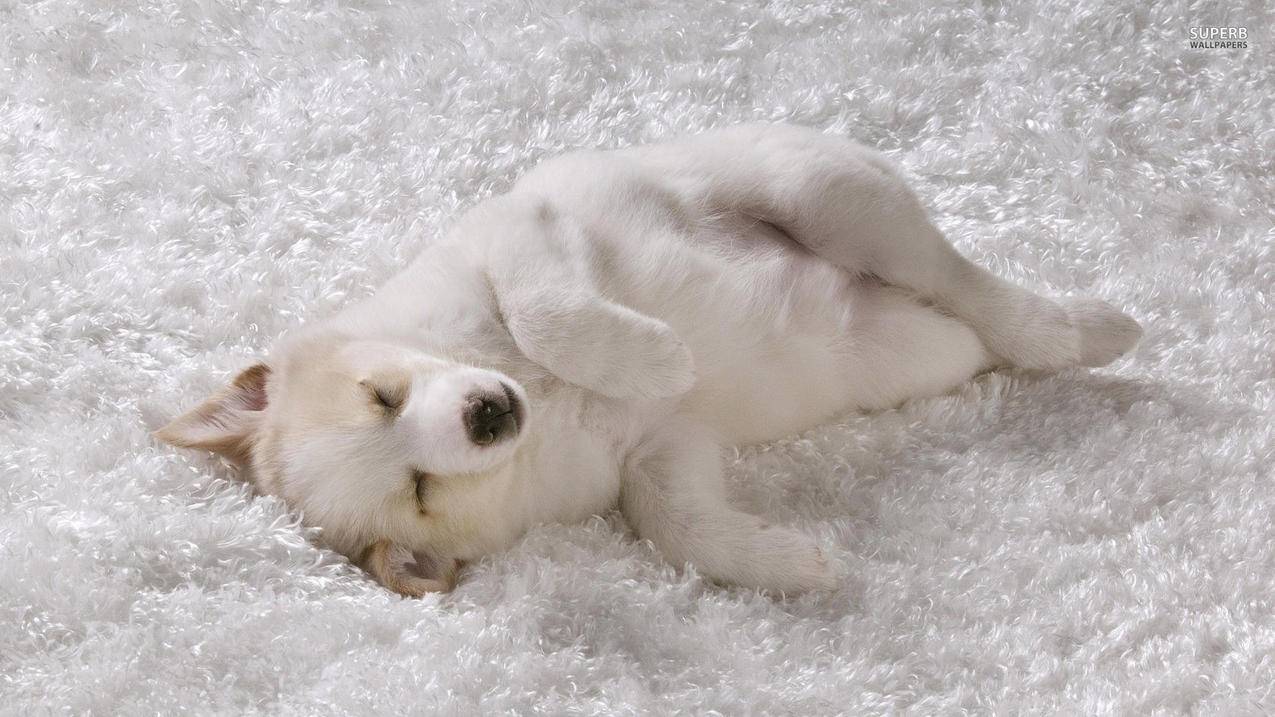 tiktok变装标签_tiktok修改 - tiktok相关 - 55dz账号网