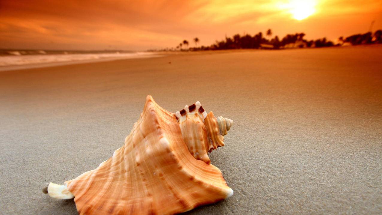 创建越南id电话怎么填（创建越南id电话怎么填不了） - 各区苹果ID - 55dz账号网