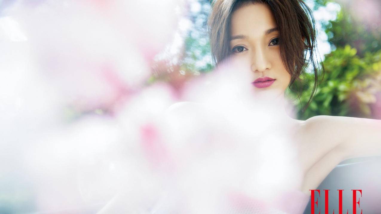 苹果官网在哪里登录? 哪里注册ID http://www.apple.com.cn/ ， 怎么登录苹果公司中文官方网站  - 55dz账号网