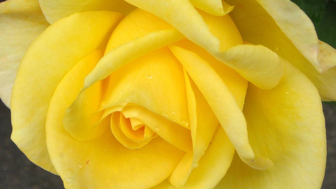 苹果退出id后再次登录里面的照片不见了? ， 苹果id退出了照片不见了怎么办?  - 55dz账号网