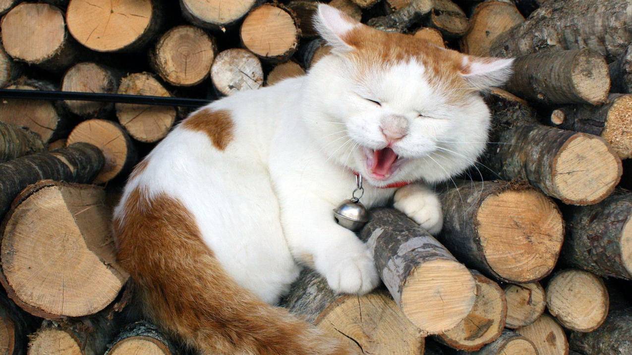 不停收到日本appleid代码怎么办_日本的apple id怎么退出 - 日本苹果ID - 55dz账号网