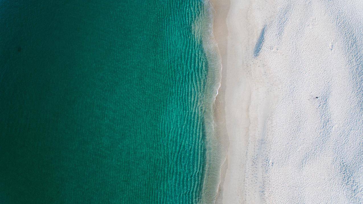 zoom会议怎么看到别人_zoom会议怎么看到所有人 - zoom相关 - 55dz账号网