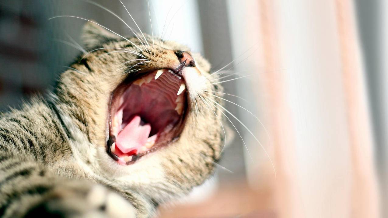 一毛钱一万qq名片赞,快手粉丝超低价网站,全网最低刷赞平台