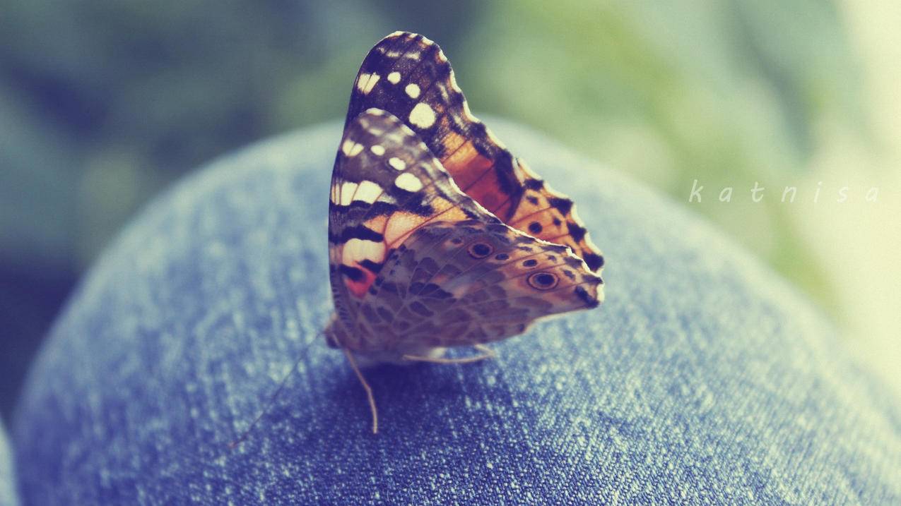 nba2kol2好用的历史球星_nba2kol2历史球员和现役球员 - IOS分享 - 55dz账号网