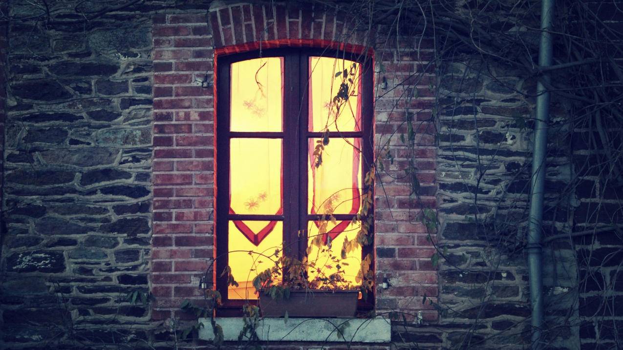 ins拍照软件安卓怎么弄_ins软件如何拍照 - INS相关 - 55dz账号网