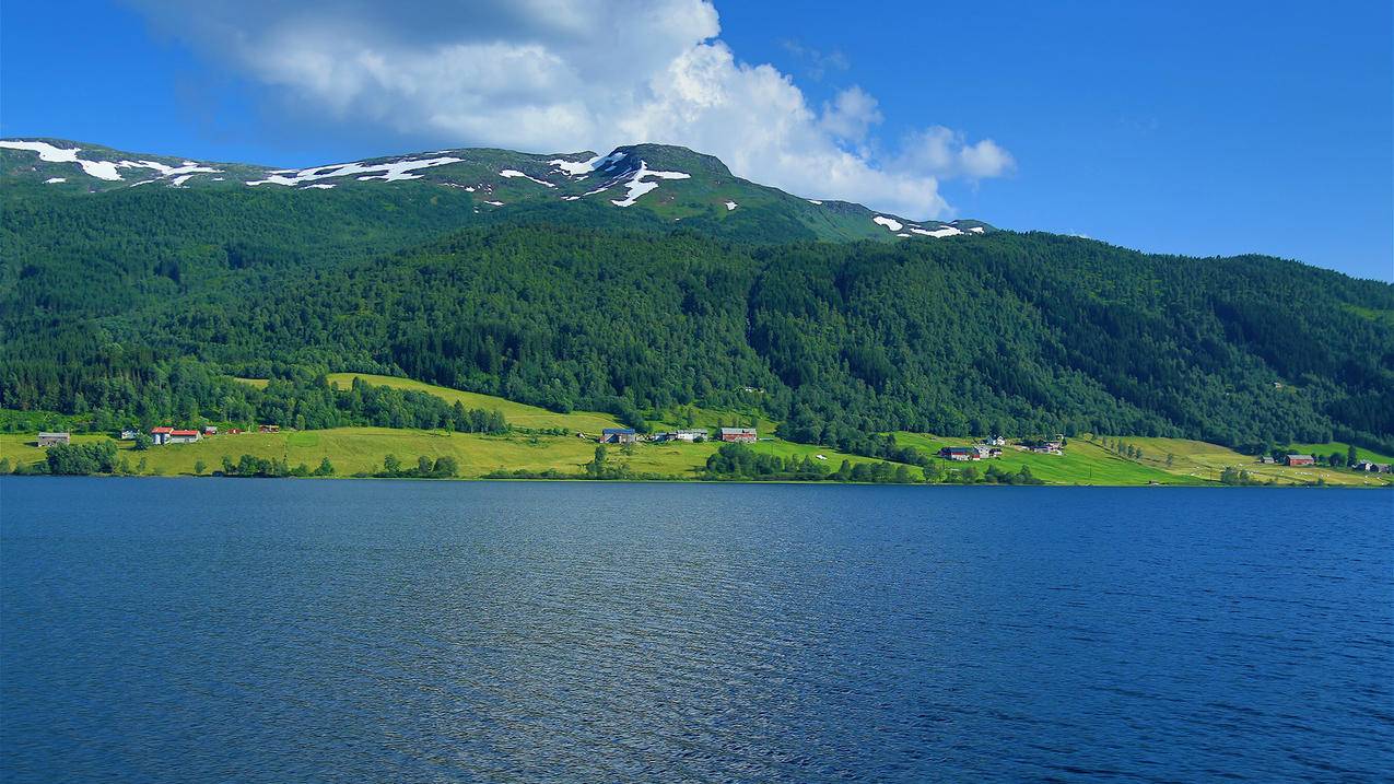 24小时刷业务-二丫代刷