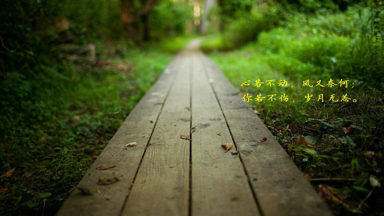 球球大作战刷业务平台网站,七月抖音代刷网,抖音业务网众人业务网