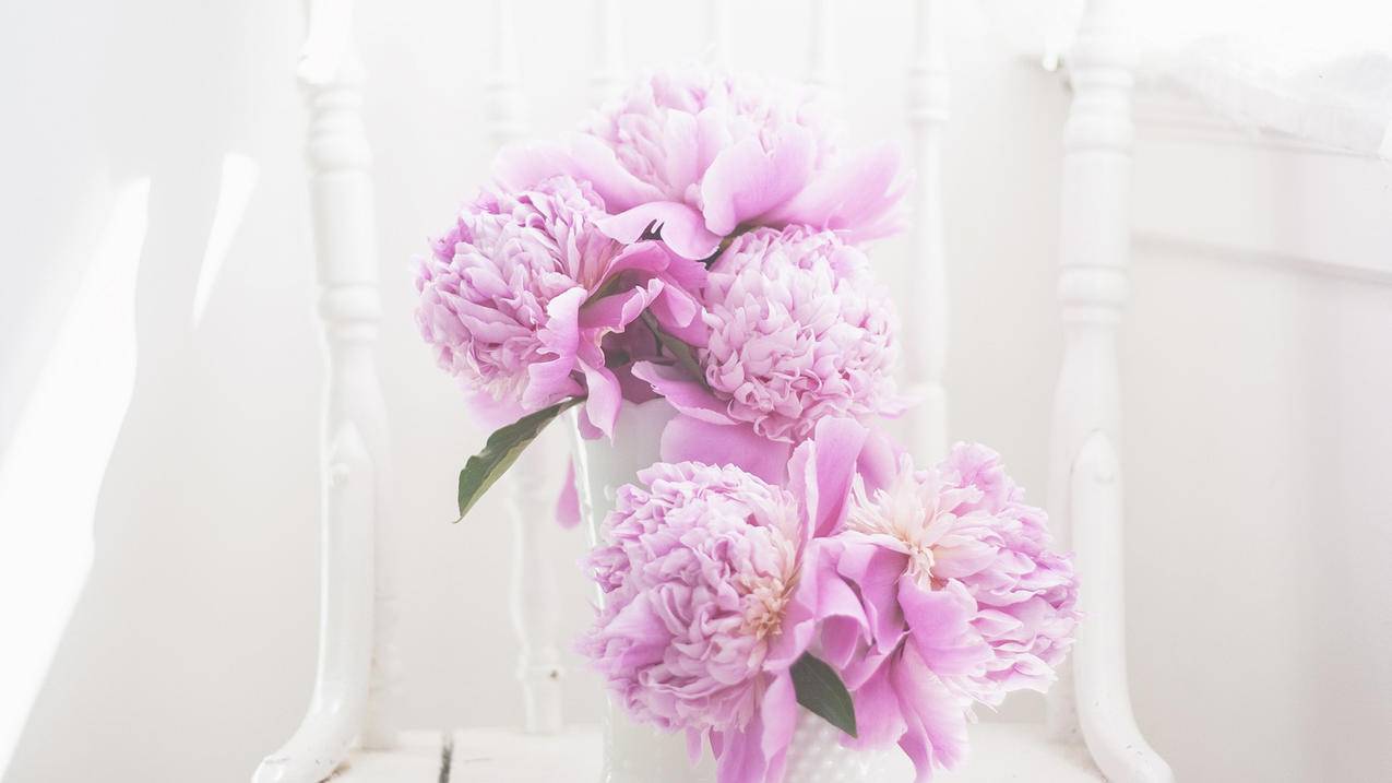 lightingcameraman的简单介绍 - messenger相关 - 55dz账号网