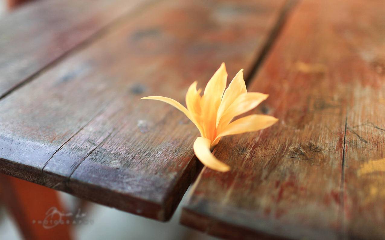 最新vmess节点_vmess节点免费 - 注册外服方法 - 55dz账号网