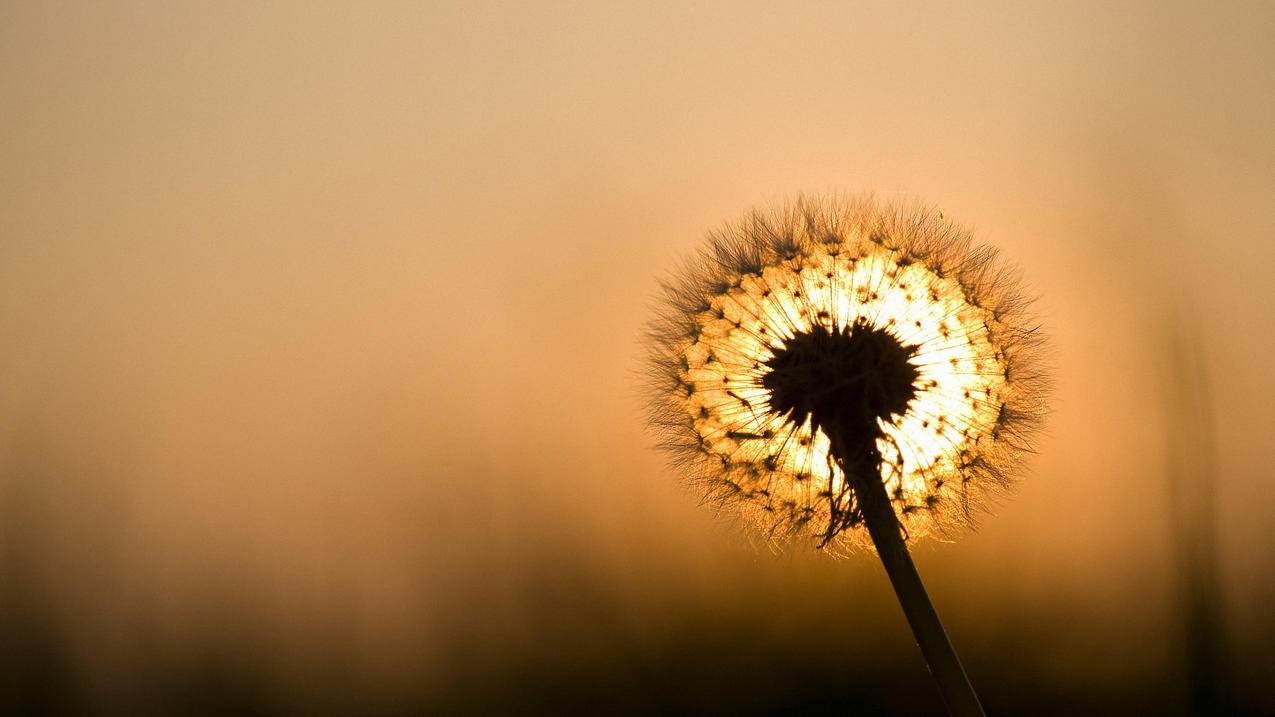 nba2k20自创科比数据_2k20科比数据模板 - IOS分享 - 55dz账号网