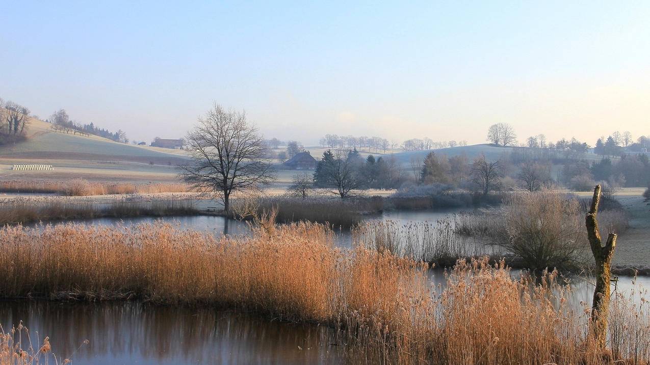 手机号注册不了越南苹果id是怎么办（手机号注册不了越南苹果id是怎么办） - 各区苹果ID - 55dz账号网