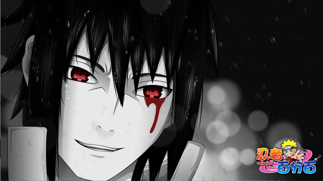 微信收付款记录在哪里查询联系_微信支付收款记录怎么查询 - 微信相关 - 55dz账号网