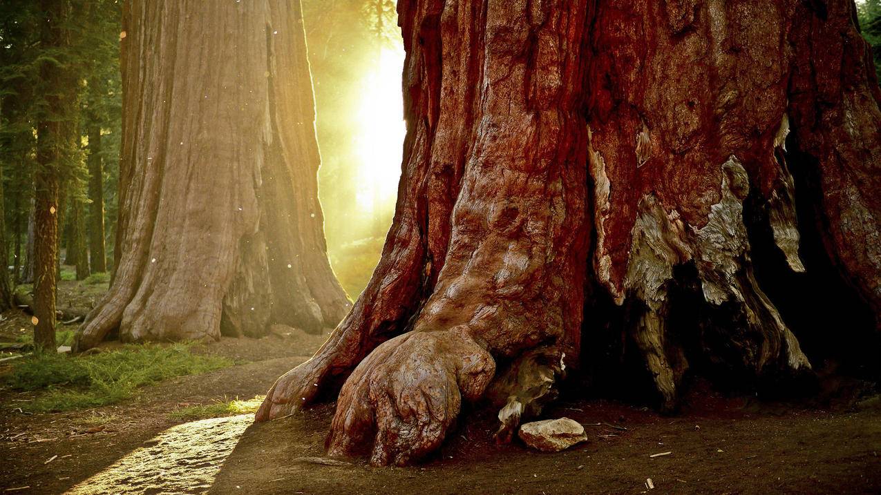 怎么用手机号码找回越南苹果id（如何拨打越南手机号码） - 各区苹果ID - 55dz账号网