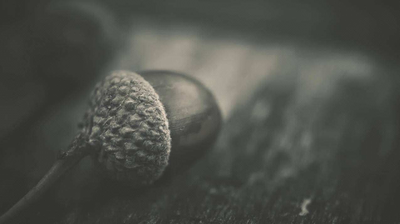 clashios客户端下载_clash中文客户端 - clash相关 - 55dz账号网