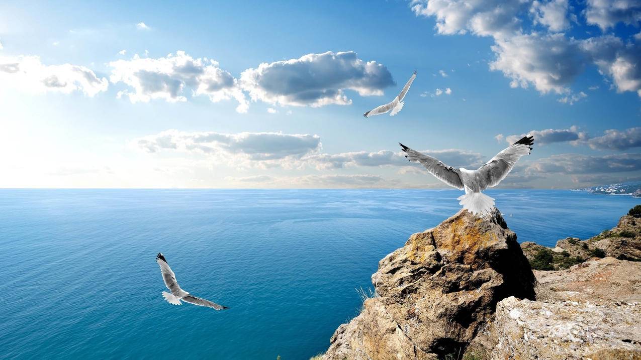 越南苹果id怎么一直登录不上 - 各区苹果ID - 55dz账号网