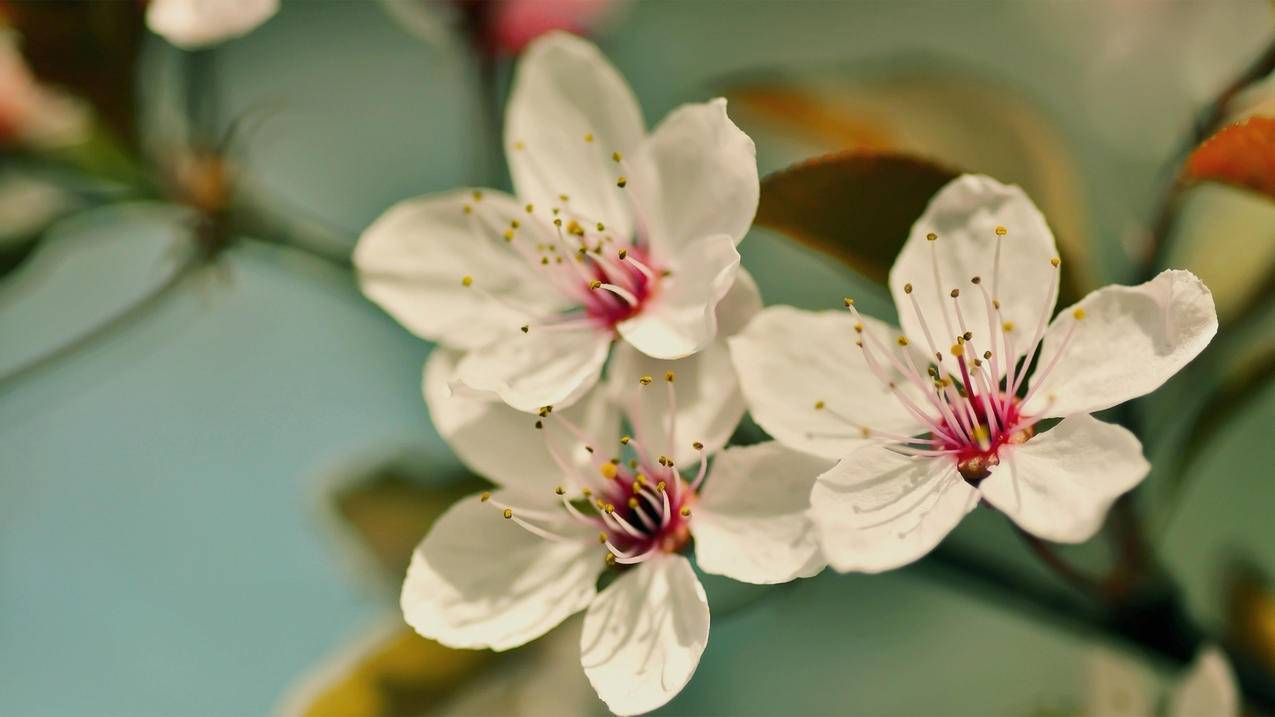 qq个信标签刷赞-QQ空间 访问量刷赞,快手代办业务,快手赞自助平台秒到,快手点赞网站平台雷神