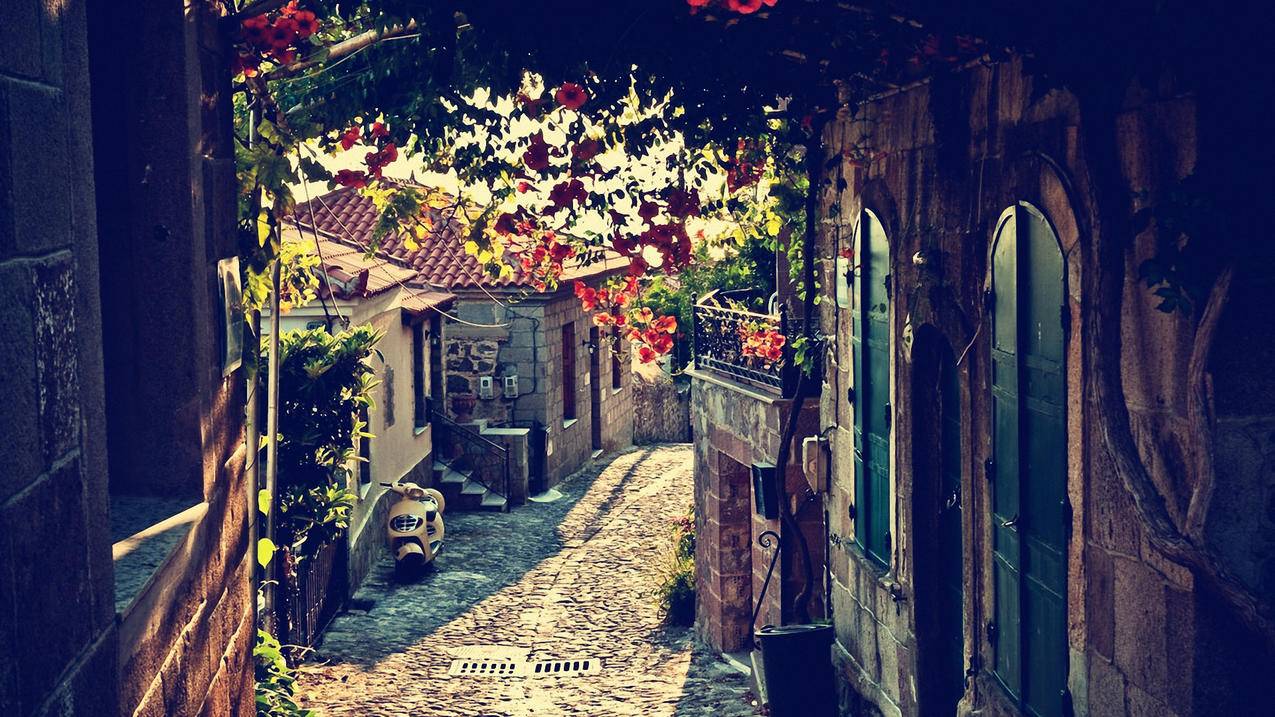 快手1元1000千粉丝活粉丝 - 快手秒刷评论点赞网站-快手青岛业务-快手1元刷100粉网址