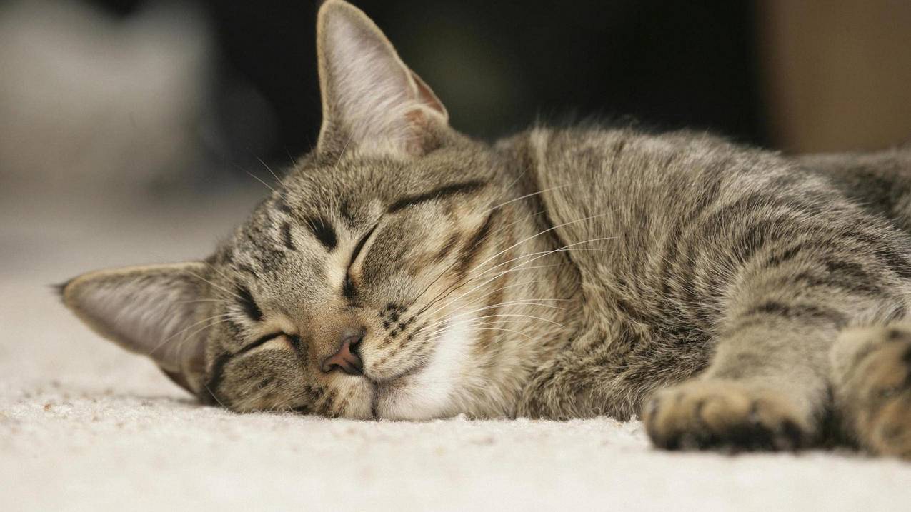 google账号登录不了说是可能其他人登录_有人知道您的google账号 - google相关 - 55dz账号网