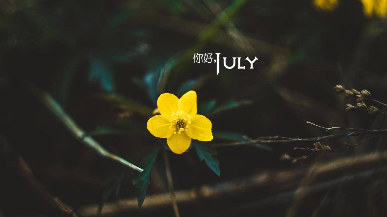 appleid怎么改越南（iphone注册越南id教程） - 各区苹果ID - 55dz账号网