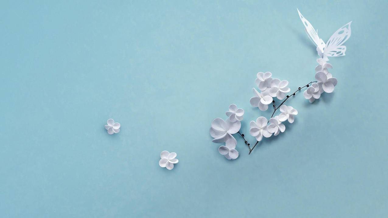 关于小火箭shadowrocket官网下载的信息 - 注册外服方法 - 55dz账号网