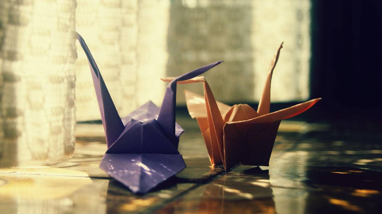 zoom怎么电话接入_zoom怎么连接 - zoom相关 - 55dz账号网