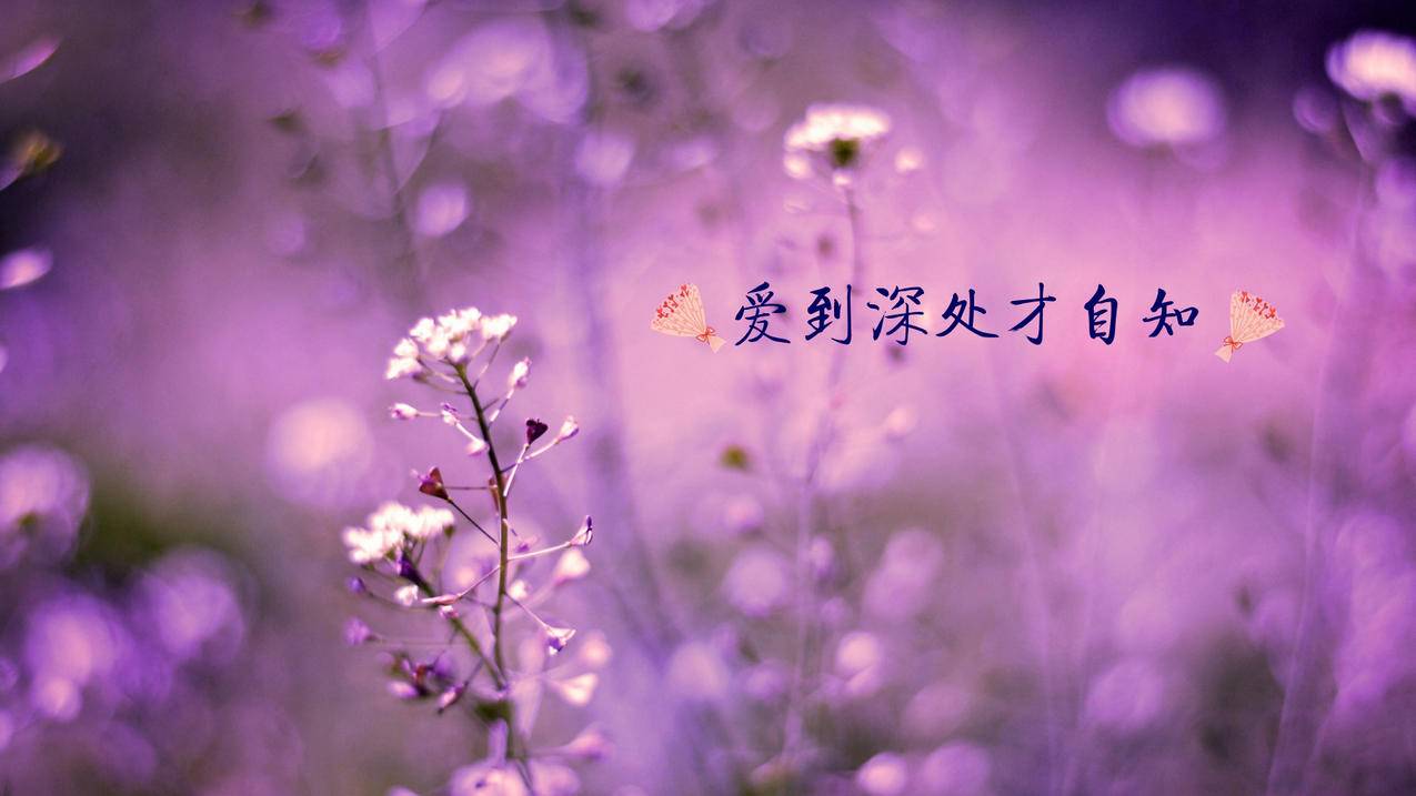 messenger最新版下载app_messenger官方版下载 - messenger相关 - 55dz账号网