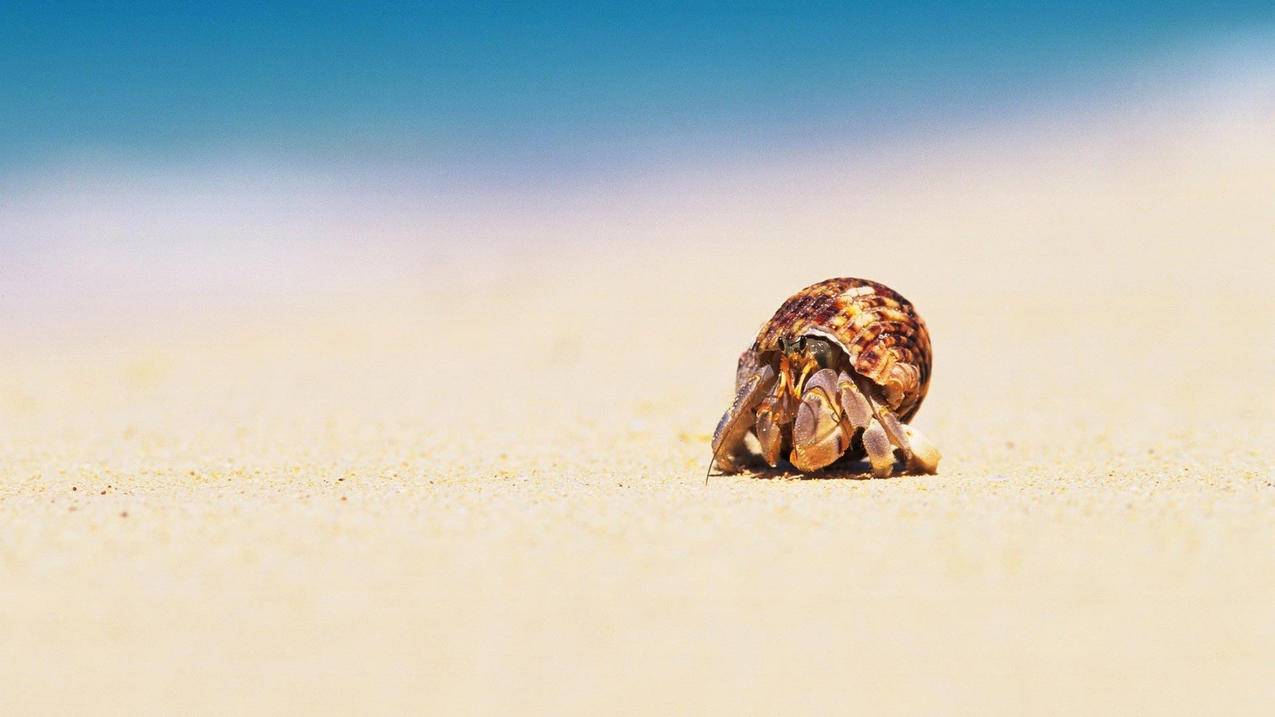 am剪辑软件下载最新版本_am剪辑软件 - gmail相关 - 55dz账号网